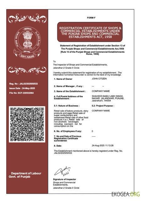 Modèle Word et PDF de certificat d'enregistrement du Pendjab en Inde template